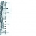 blog1