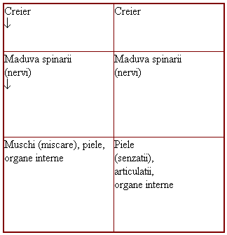tabel_1_1