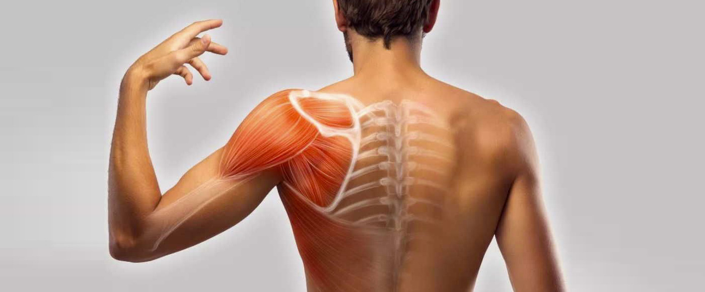 dureri simetrice în mușchi și articulații tratamentul inflamației articulațiilor coloanei vertebrale